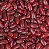 Haricot rouge - Phaseolus vulgaris - Potager