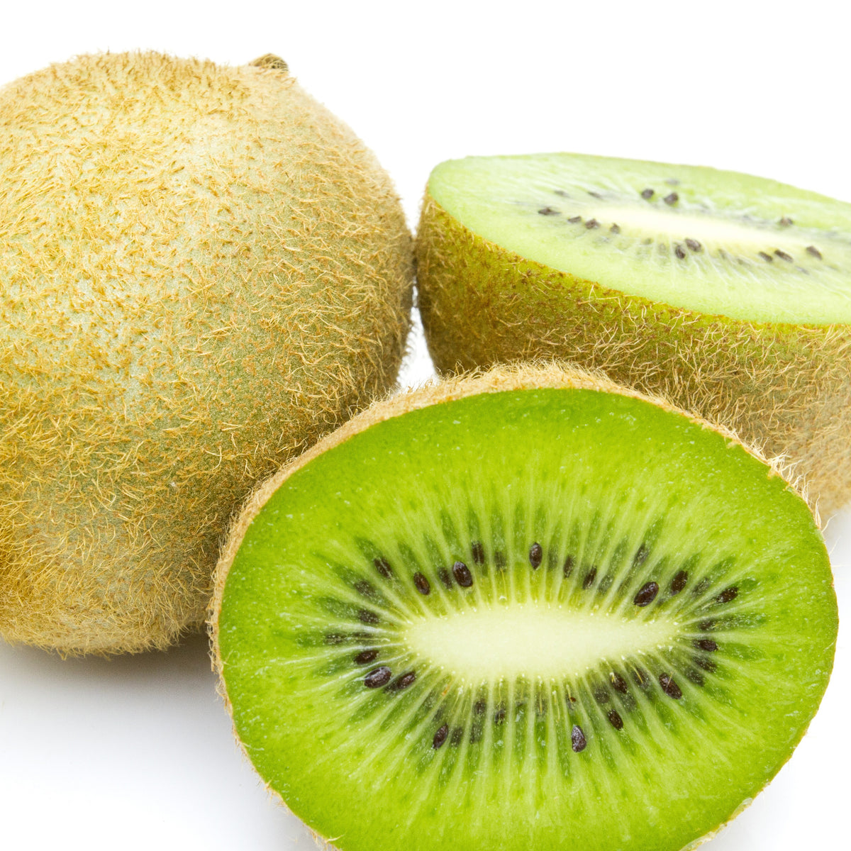Kiwi Jenny - Actinidia deliciosa 'jenny' - Fruitiers Arbres et arbustes