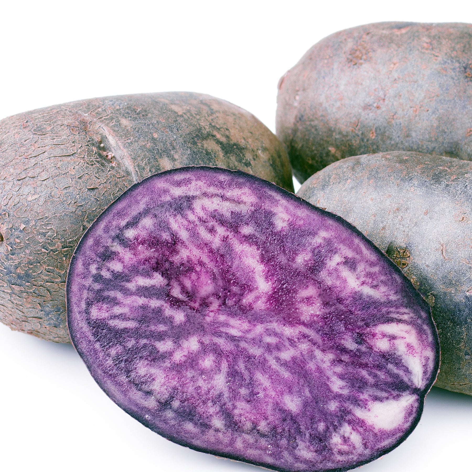 10 Pommes de terre Ulysse Bio - Solanum tuberosum ulysse - Potager