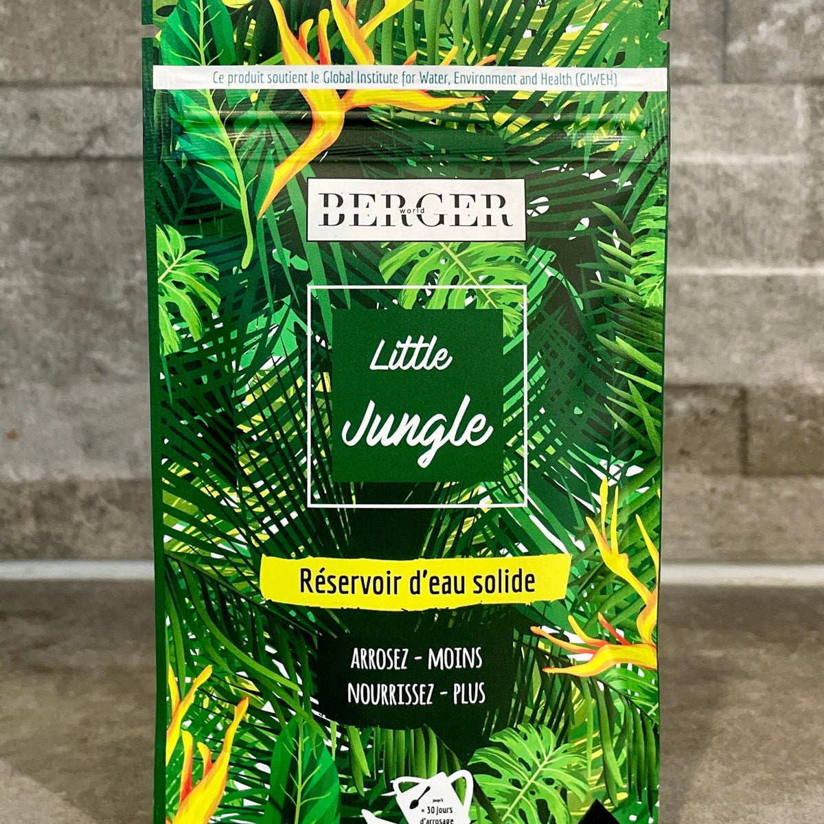 Rétenteur d'eau pour plantes d'intérieur BERGER WORLD - Willemse