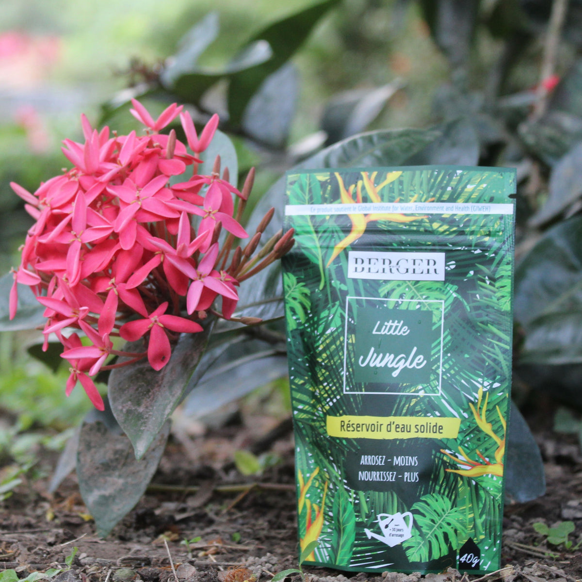 Rétenteur d'eau pour plantes d'intérieur BERGER WORLD -  - Willemse