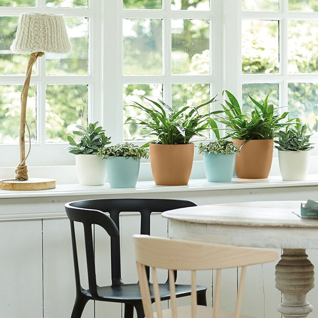 Elho Cache-pot Brussels rond brun cookie - Cache-pots & Pots - Willemse