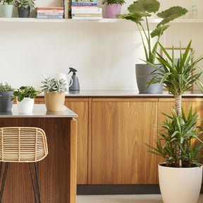 Vente Elho Cache-pot Brussels rond brun cookie