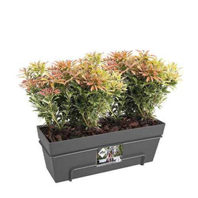 Elho Balconnière Loft urban anthracite - Pots et contenants pour cultiver vos plantes