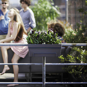 Elho Balconnière Loft urban anthracite - Willemse