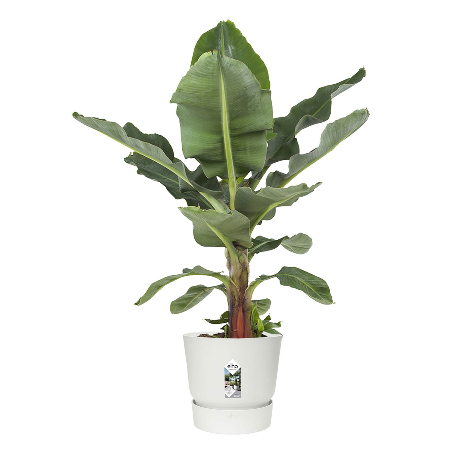  - Pot de fleurs Greenville Blanc ELHO - Cache-pots & Pots