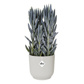 Cache-pot Vibes fold Blanc soie ELHO - Cache-pots & Pots - Willemse