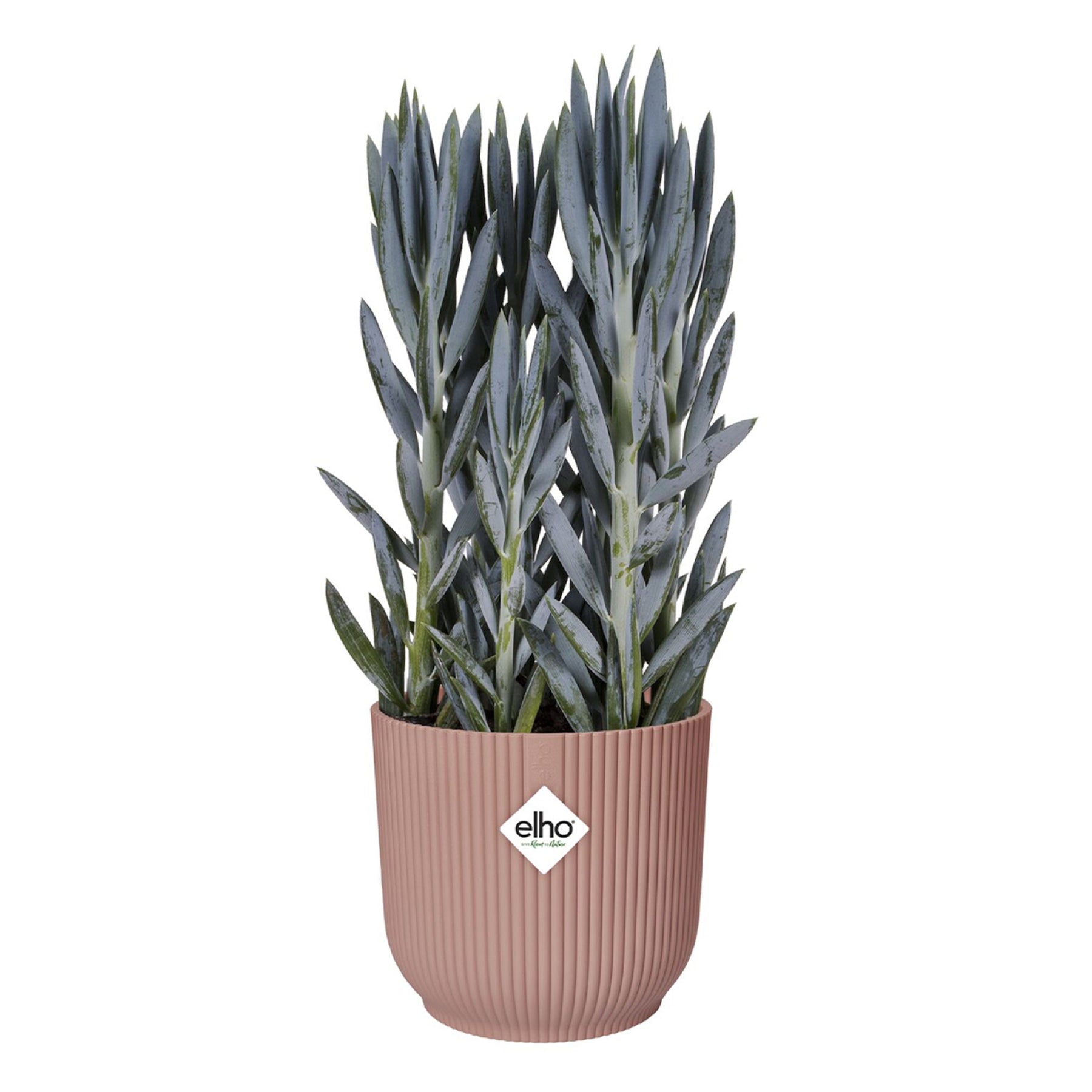 Cache-pot Vibes fold Rose poudré ELHO - Cache-pots & Pots - Willemse