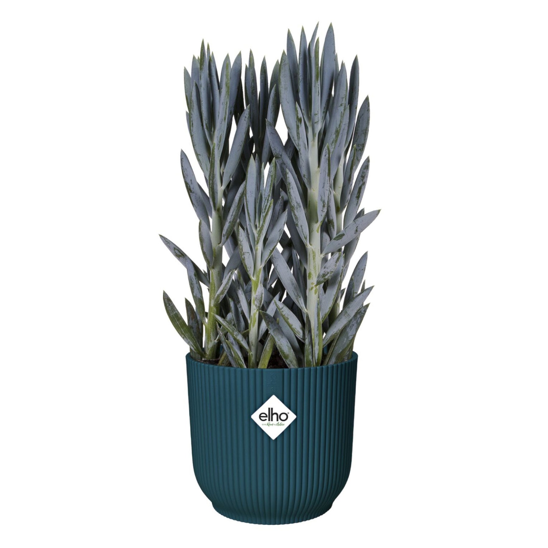 Vente Cache-pot Vibes fold Bleu foncé ELHO - Cache-pots & Pots