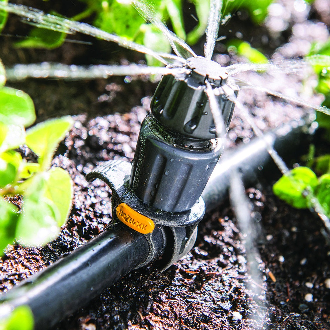 Outil d'arrosage automatique système d'arrosage d'irrigation
