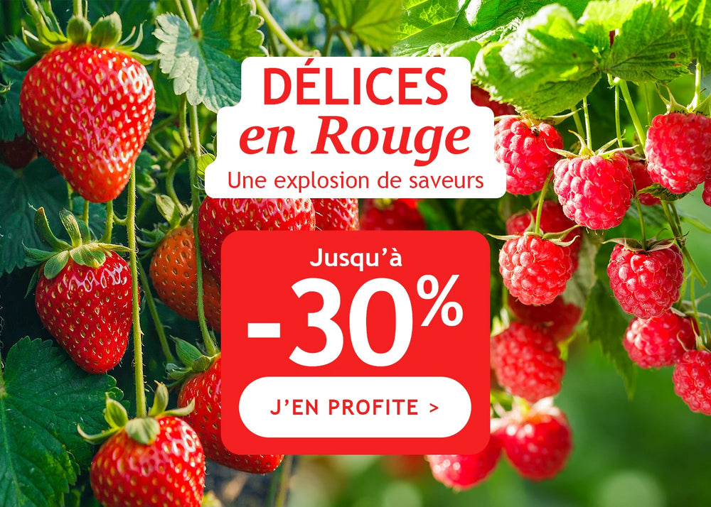 Jusqu’à -30% de remise : Délices en rouge