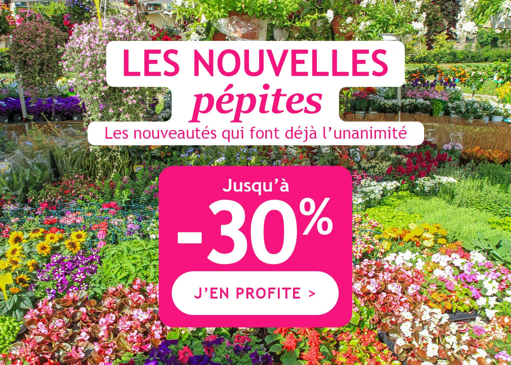 Les nouvelles pépites : jusqu’à -30% de remise