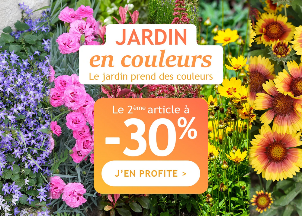 Un jardin en couleurs : la 2ème plante à -30% !