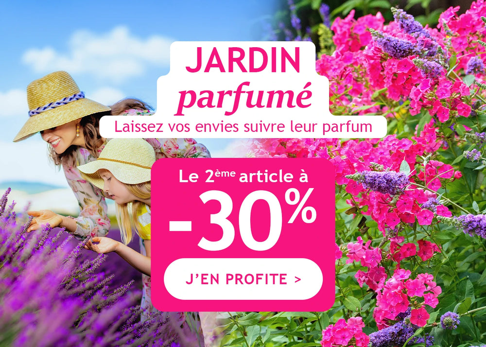 Jardin parfumé : la 2ème plante a -30% !
