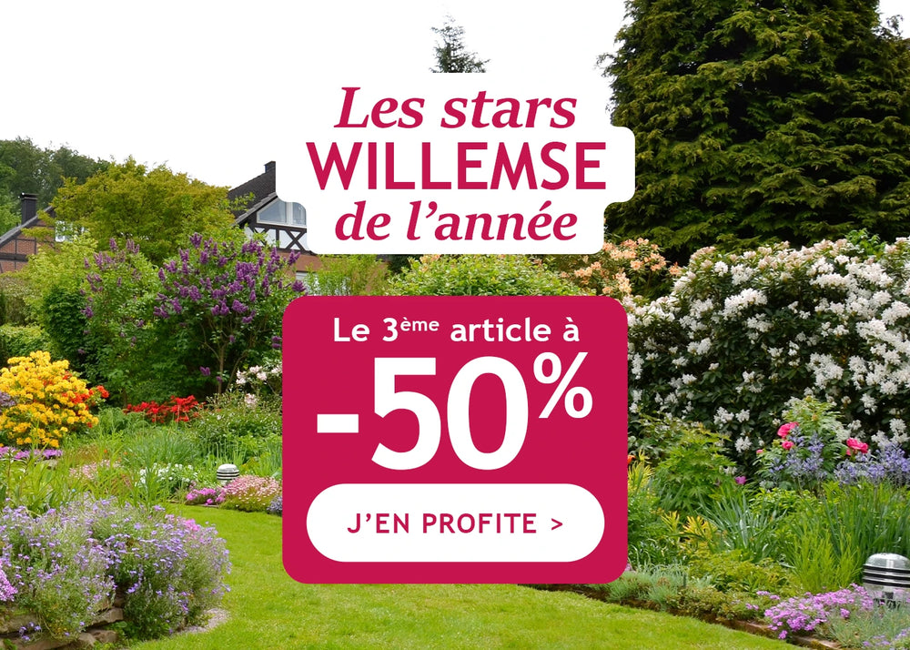 Les stars willemse de l'année