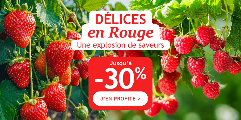 Jusqu’à -30% de remise : Délices en rouge