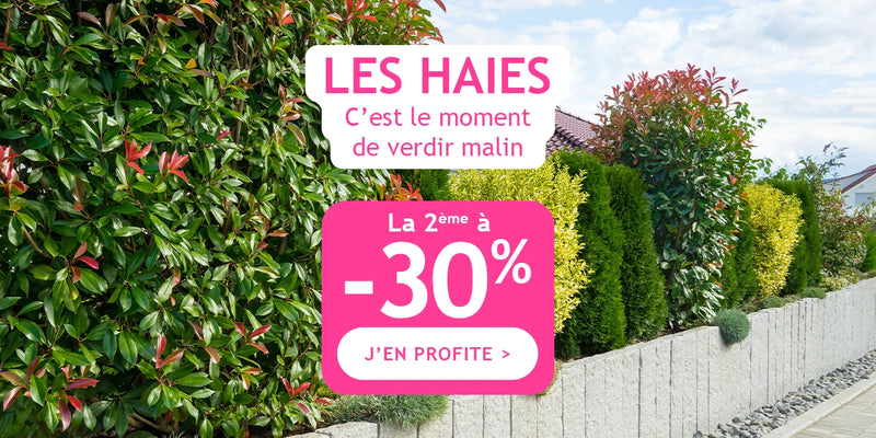 Haies : 1 plante achetée, la 2e à -30%