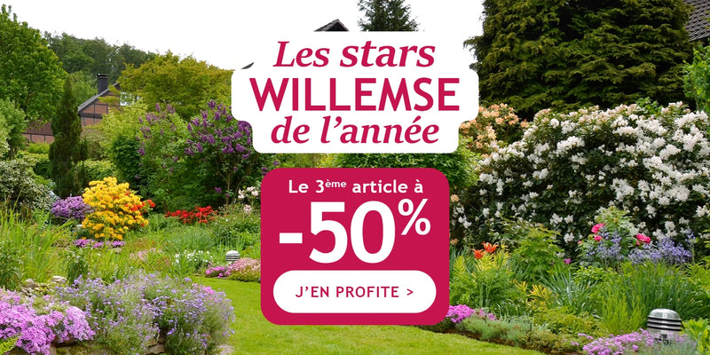 Les stars willemse de l'année