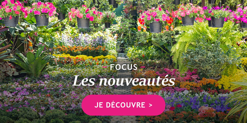 Les nouveautés