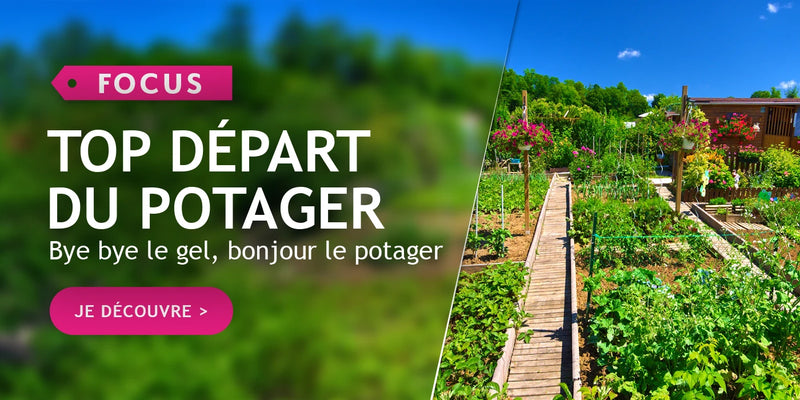 Top départ du potager !