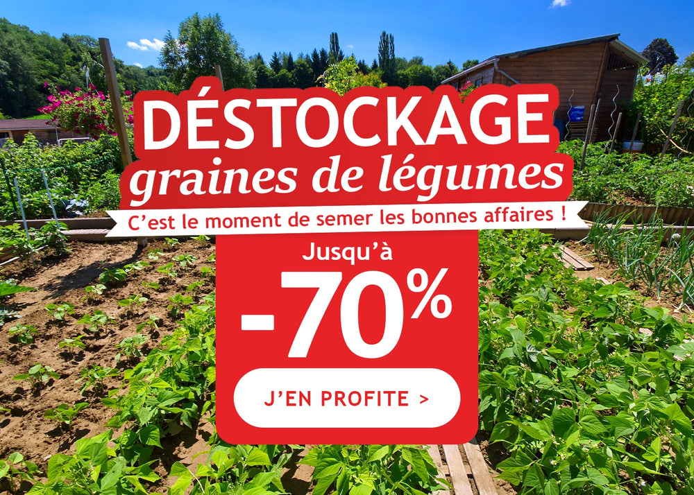 Déstockage jusqu’à -70% : graines de légumes !