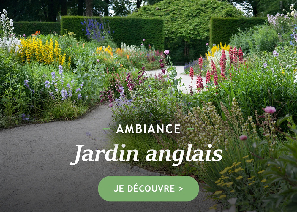 Ambiance jardin anglais