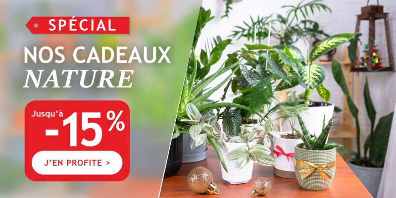 Nos cadeaux Nature jusqu'à -15%
