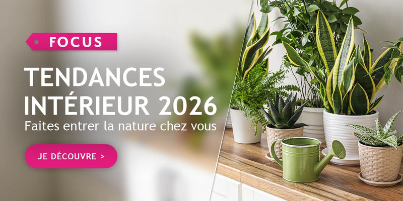 Tendance intérieur 2026