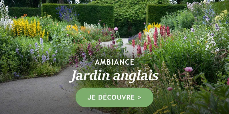 Ambiance jardin anglais