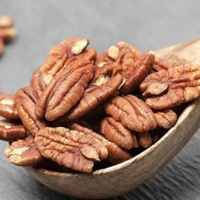 Carya illinoinensis - Pacanier - Noix de pécan - Fruitiers Arbres et arbustes