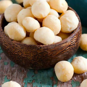 Fruitiers Arbres et arbustes - Noix de macadamia - Macadamia ternifolia