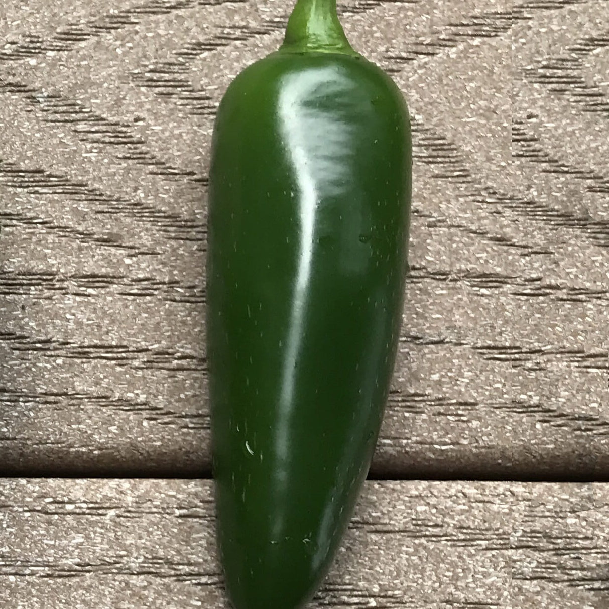 Piment Jalapeno mexicain BIO - Willemse