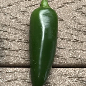 Piment Jalapeno mexicain BIO - Willemse