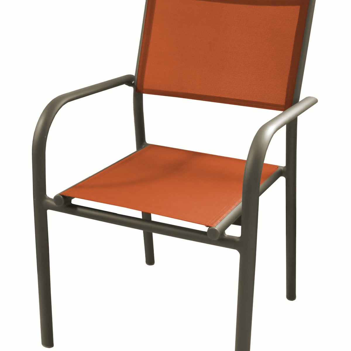 Bambou fargesia rufa - Willemse