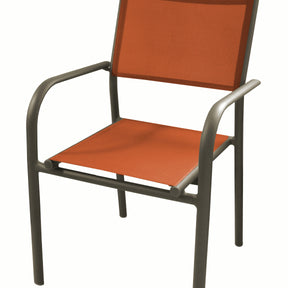 Bambou fargesia rufa - Willemse