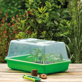 Mini serre rigide - Willemse