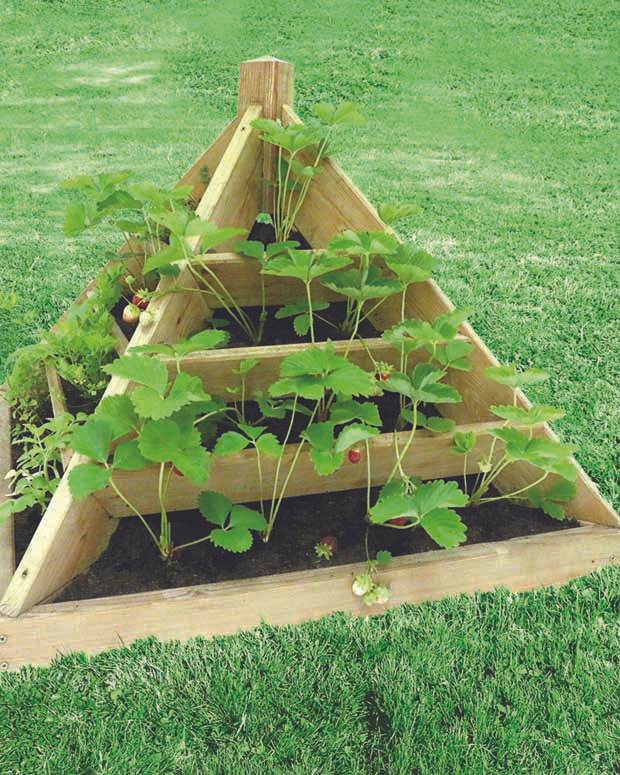 Jardinière bois pyramide Maya 80 cm - jardins