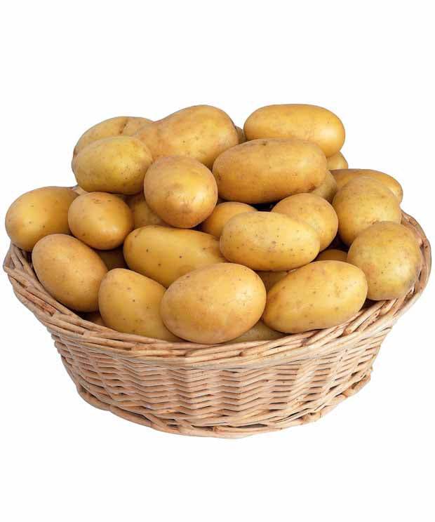 Collection de pommes de terre : Amandine, Jeannette, Blanche - Bulbes potagers et tubercules - Solanum tuberosum Amandine , Jeannette , Blanche 