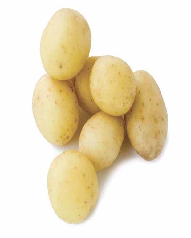 Pomme de terre Penni Bio - Bulbes potagers et tubercules - Solanum tuberosum Penni