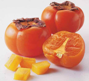 Plaqueminier kaki Muscat (scion) - Fruitiers : Arbres et arbustes - Diospyros kaki