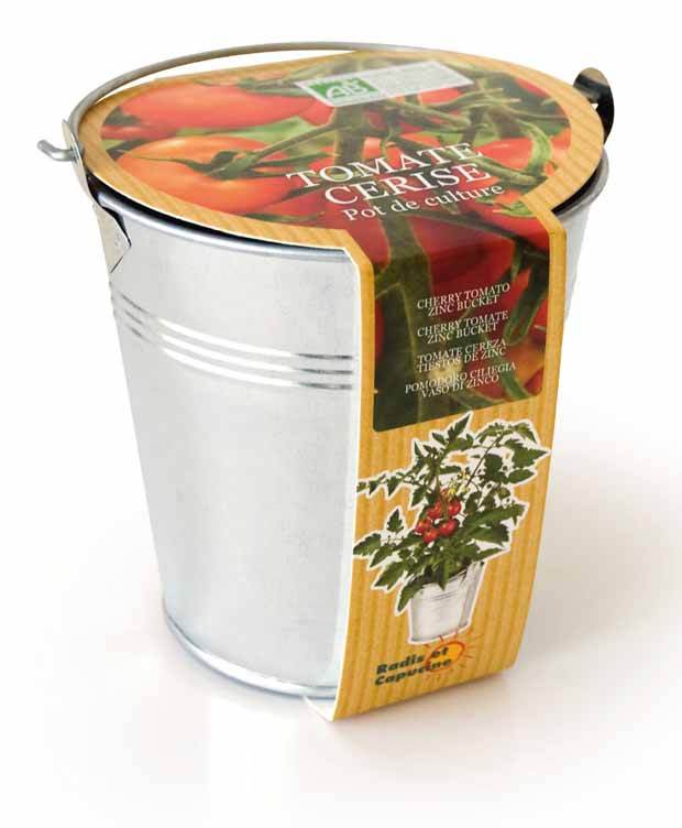 Kit Tomate cerise - jardins - Solanum lycopersicum